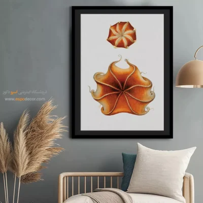 تابلو جانوران دریایی - اسپو دکور