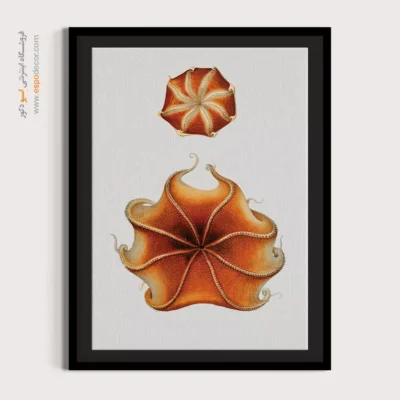 تابلو جانوران دریایی - اسپو دکور