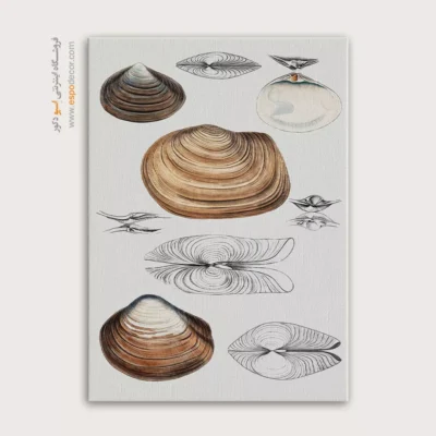 تابلو جانوران دریایی - اسپو دکور