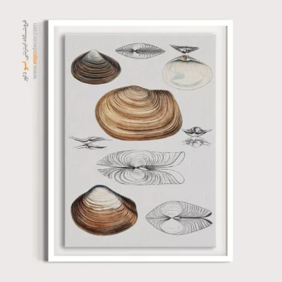 تابلو جانوران دریایی - اسپو دکور