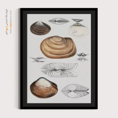 تابلو جانوران دریایی - اسپو دکور