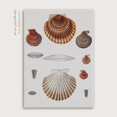 تابلو جانوران دریایی - اسپو دکور