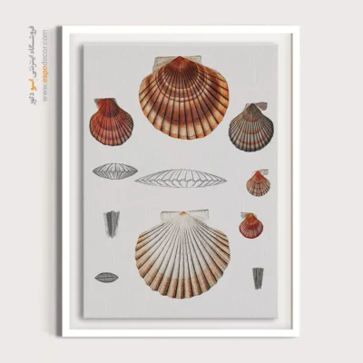 تابلو جانوران دریایی - اسپو دکور