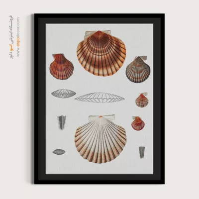 تابلو جانوران دریایی - اسپو دکور