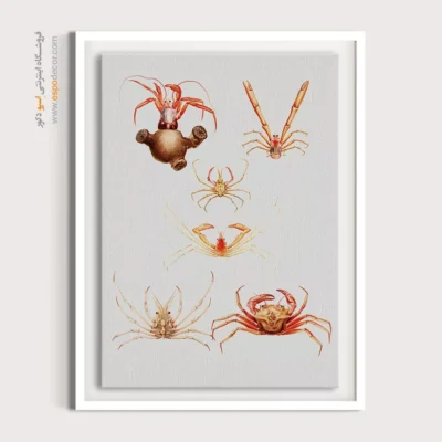 تابلو جانوران دریایی - اسپو دکور