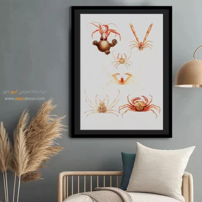 تابلو جانوران دریایی - اسپو دکور