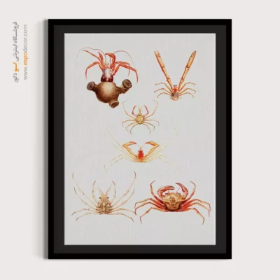 تابلو جانوران دریایی - اسپو دکور