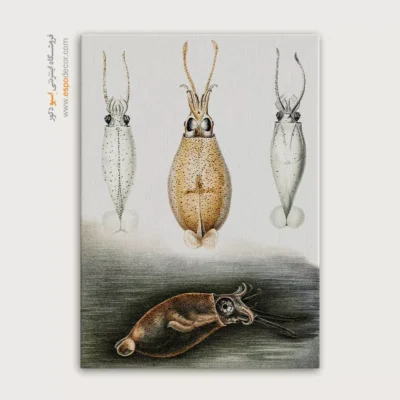 تابلو جانوران دریایی - اسپو دکور