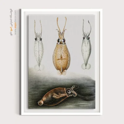 تابلو جانوران دریایی - اسپو دکور