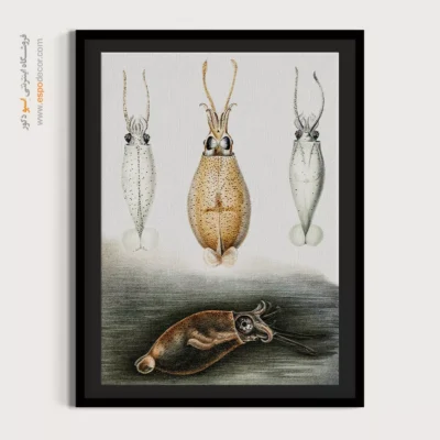 تابلو جانوران دریایی - اسپو دکور