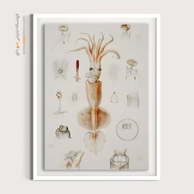 تابلو جانوران دریایی - اسپو دکور