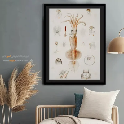 تابلو جانوران دریایی - اسپو دکور