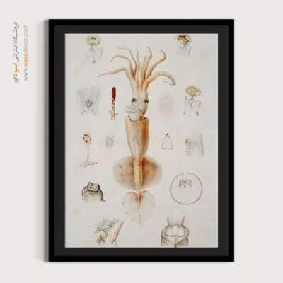 تابلو جانوران دریایی - اسپو دکور