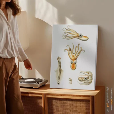 تابلو جانوران دریایی - اسپو دکور