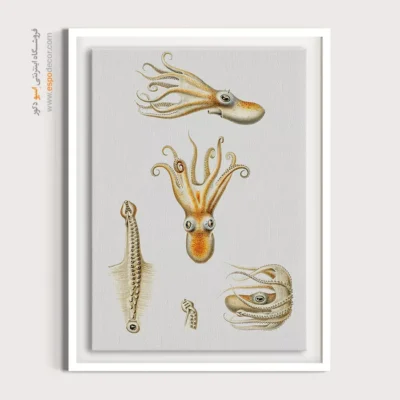 تابلو جانوران دریایی - اسپو دکور