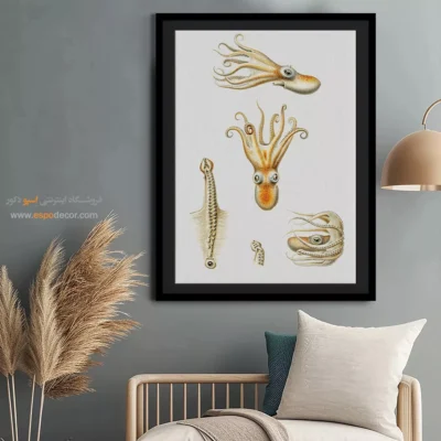 تابلو جانوران دریایی - اسپو دکور