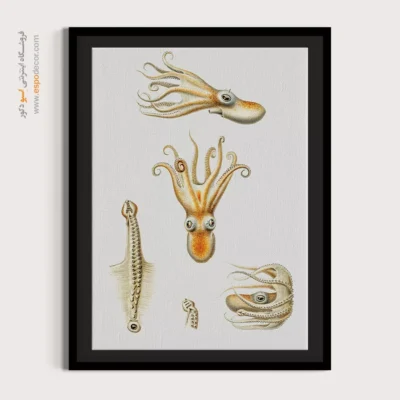 تابلو جانوران دریایی - اسپو دکور