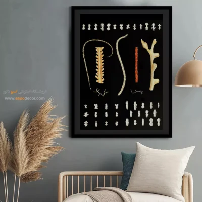 تابلو جانوران دریایی - اسپو دکور