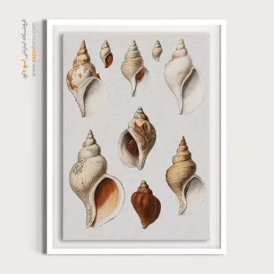 تابلو جانوران دریایی - اسپو دکور