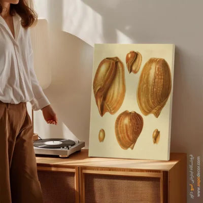 تابلو جانوران دریایی - اسپو دکور