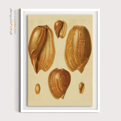 تابلو جانوران دریایی - اسپو دکور