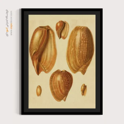 تابلو جانوران دریایی - اسپو دکور