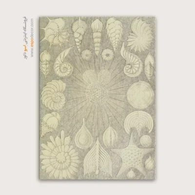 تابلو جانوران دریایی - اسپو دکور