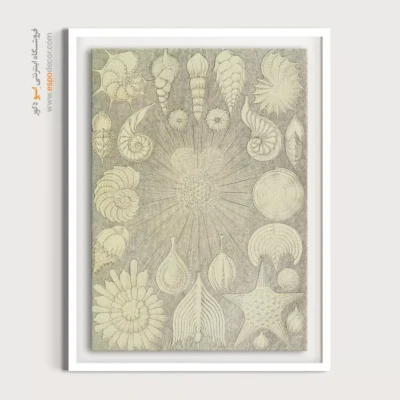 تابلو جانوران دریایی - اسپو دکور