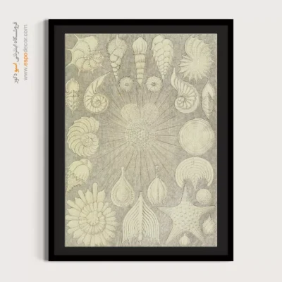 تابلو جانوران دریایی - اسپو دکور