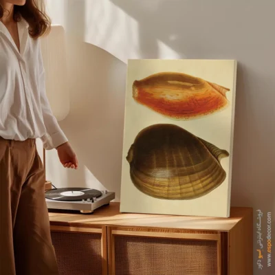 تابلو جانوران دریایی - اسپو دکور