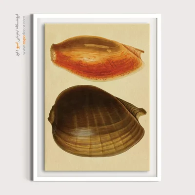 تابلو جانوران دریایی - اسپو دکور