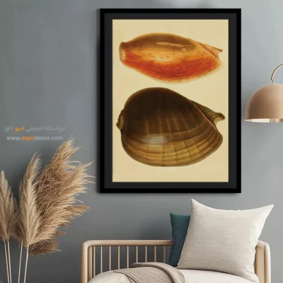 تابلو جانوران دریایی - اسپو دکور