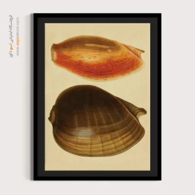 تابلو جانوران دریایی - اسپو دکور