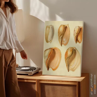 تابلو جانوران دریایی - اسپو دکور