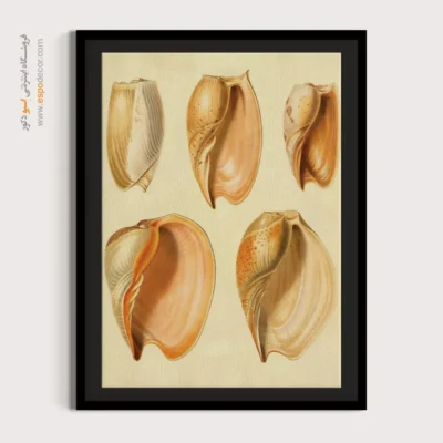 تابلو جانوران دریایی - اسپو دکور