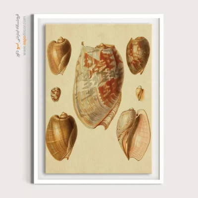 تابلو جانوران دریایی - اسپو دکور