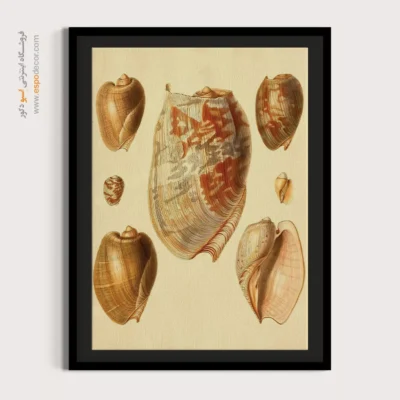 تابلو جانوران دریایی - اسپو دکور