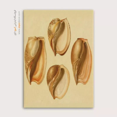 تابلو جانوران دریایی - اسپو دکور