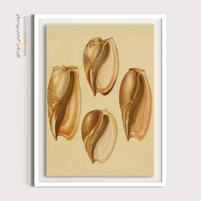 تابلو جانوران دریایی - اسپو دکور