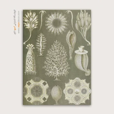 تابلو جانوران دریایی - اسپو دکور