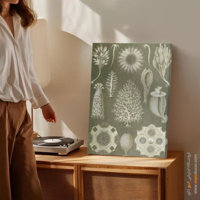 تابلو جانوران دریایی - اسپو دکور