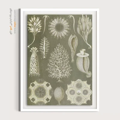 تابلو جانوران دریایی - اسپو دکور