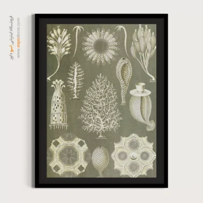 تابلو جانوران دریایی - اسپو دکور