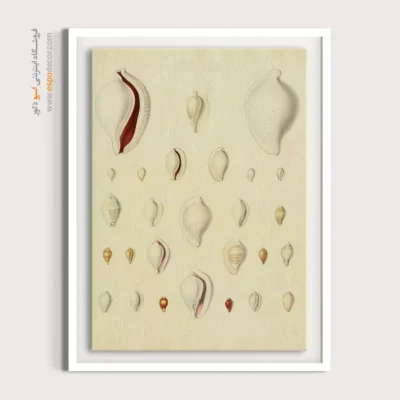 تابلو جانوران دریایی - اسپو دکور