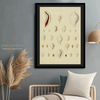 تابلو جانوران دریایی - اسپو دکور