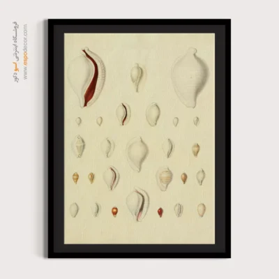 تابلو جانوران دریایی - اسپو دکور