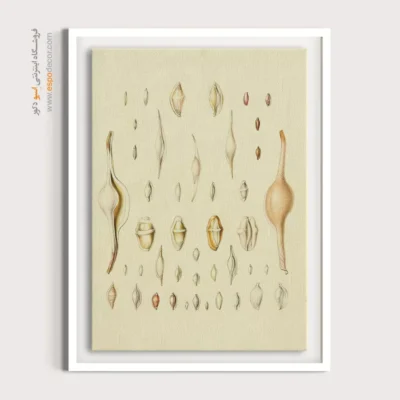 تابلو جانوران دریایی - اسپو دکور