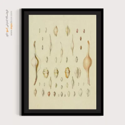 تابلو جانوران دریایی - اسپو دکور