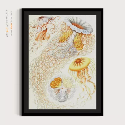 تابلو جانوران دریایی - اسپو دکور