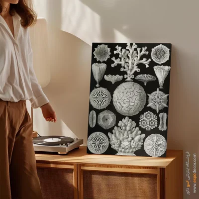 تابلو جانوران دریایی - اسپو دکور